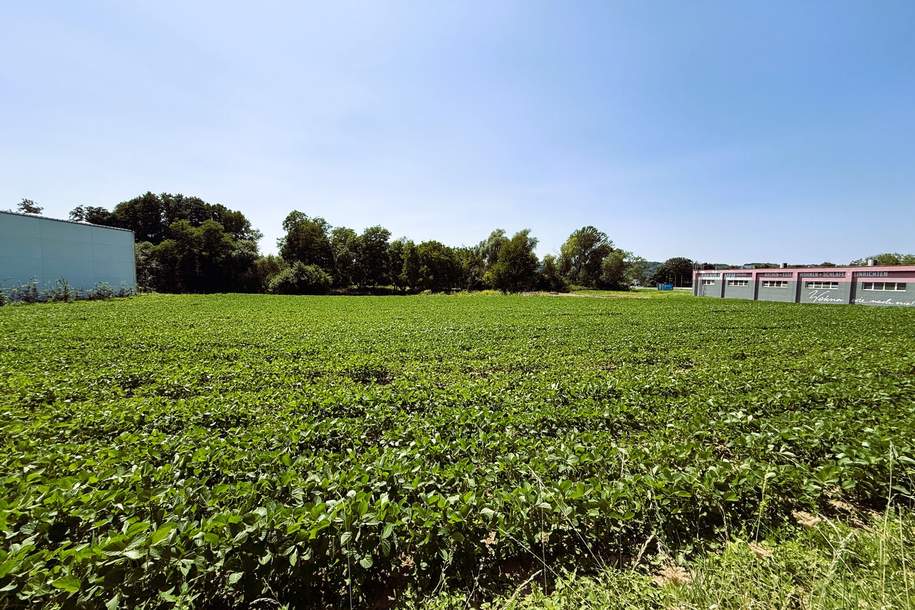 Attraktives Gewerbegrundstück als BAURECHT im Industriegebiet Oberwart, Grund und Boden-legalform.pacht, 7400 Oberwart