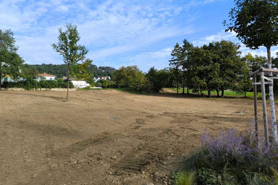 Traumhaftes Grundstück in Eisenstadt am Oberberg – 729 qm für Ihr Bauprojekt (Provisionsfrei), Grund und Boden-kauf, 328.000,€, 7000 Eisenstadt(Stadt)