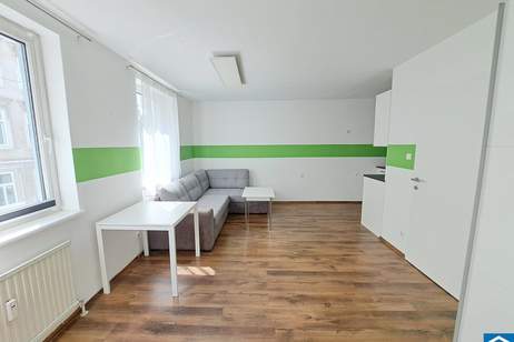 Zentral gelegenes 1-Zimmer-Apartment in ruhiger Seitengasse des 7. Bezirks, Wohnung-kauf, 230.000,€, 1070 Wien 7., Neubau