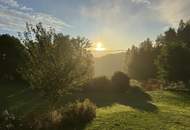 Wohntraum und Arbeiten im Grünen oder für Selbstversorger mit Grünland und 240 qm Wohnfläche!