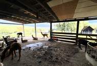 NEUER PREIS! Rarität! Bauernhof in der steirischen Toskana mit ca. 2,7 ha Weide!