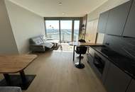 Möbliertes Apartment im 42. Stock mit Weitblick auf die Donau! Pool, Spa und Fitness inklusive!