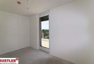 4-Zimmer-Dachterrassenwohnung mit einem unverbauten Blick auf die Traisen.