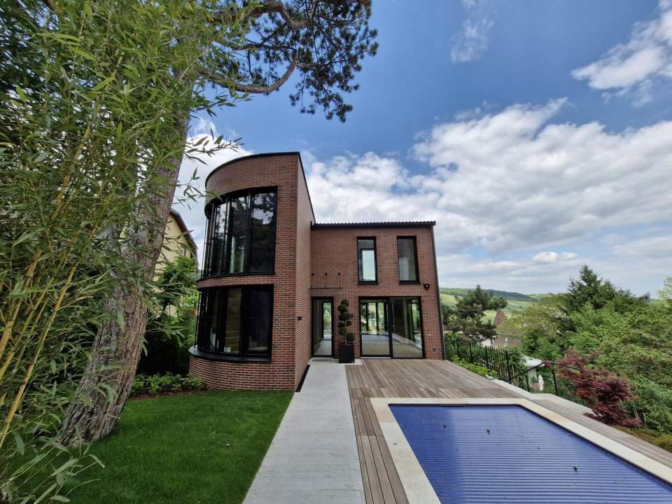 Architektenhaus - Pool - Weinbergblick