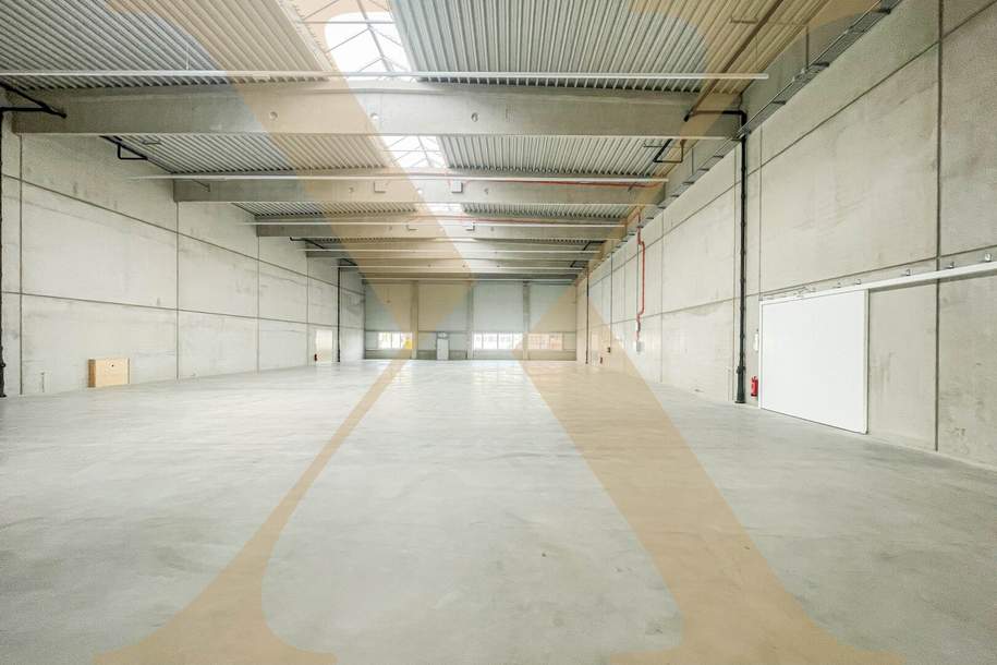Moderne Neubau-Lagerhalle mit ca. 1.171 m² und Büromöglichkeit in Pasching zu vermieten!, Gewerbeobjekt-miete, 10.539,00,€, 4061 Linz-Land