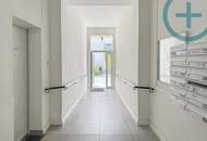 WERKSTATT/ KELLERFLÄCHE IN DER GEBLERGASSE| NÄHE ZUM GÜRTEL