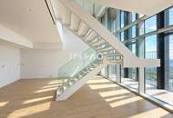 The Skyline Penthouse: DC2 Tower Level 51 - DANUBE HORIZON