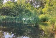 Lichtdurchflutetes, idyllisches Landhaus in Potzneusiedl