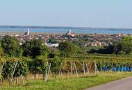Großzügige Familienwohnung mit Tiefgarage in der Storchenstadt Rust am See