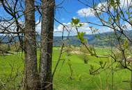*** Urige Gemütlichkeit in der Waldheimat: Wohn & Ferienhaus mit Weitblick ***
