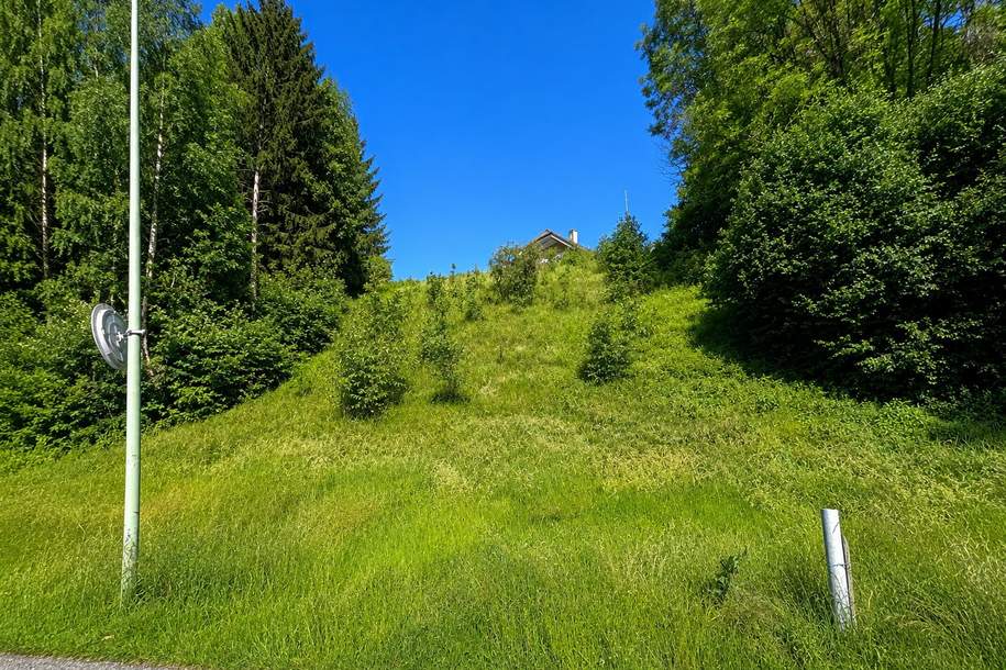 Zentrumsnahe Baugründe ohne Bauzwang!, Grund und Boden-kauf, 98.000,€, 4800 Vöcklabruck