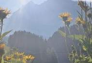 Landhaus mit viel Natur und traumhaftem Bergpanorama !