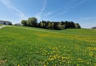 Bauernhof, Landwirtschaft, Alleinlage, Aussichtslage