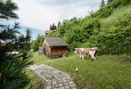 Moderne Anlegerwohnung mit Terrasse und Balkon in traumhafter Berglage auf der Koralpe