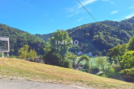 Baugrund 1.143 m² mit Donaublick - oberhalb Zentrum von St. Nikola - Südhang, Grund und Boden-kauf, 54.000,€, 4381 Perg