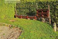 Naturnahes Paradies | Schrebergarten mit Gartenhütte