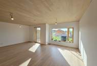 Modernes Plus-Energie-Reihenhaus in Massivholzbauweise