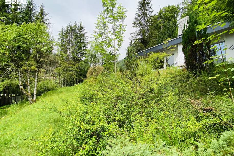 Abbruchhaus mit Berg- und Grünblick – Grundstück in Hof bei Salzburg, Grund und Boden-kauf, 489.000,€, 5322 Salzburg-Umgebung