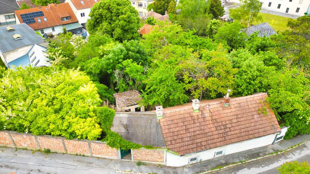 HANDWERKER GESUCHT - DORNRÖSCHEN-HAUS IN MATZEN