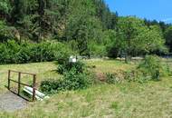 Wohnen am Waldrand mit eigenem Bächlein - Natur pur