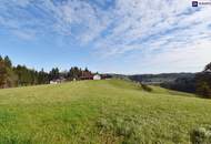 SPITZEN Grundstück vollerschlossen mit hoher Bebauungsdichte - ca. 330m² Wohnfläche in Oisnitz / St. Josef - Nähe Lannach