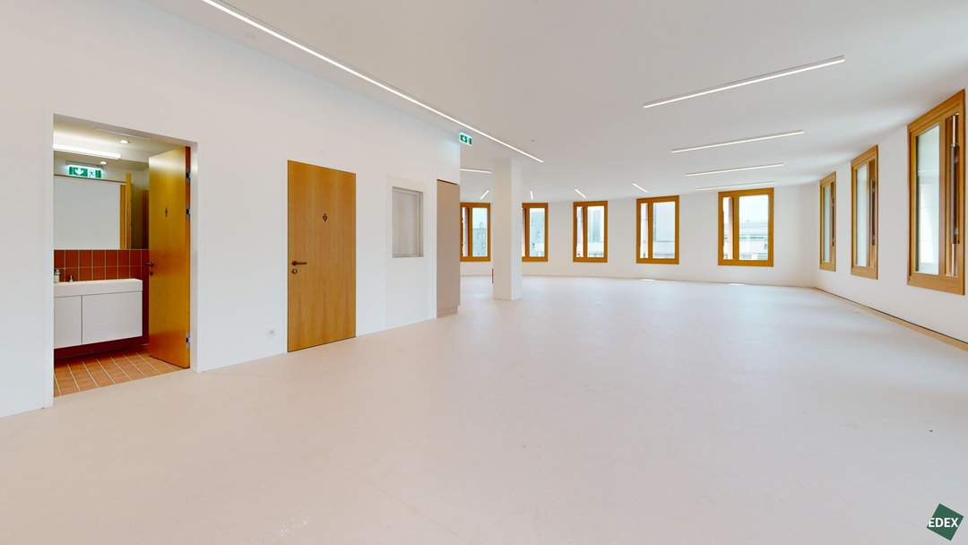 ROBIN Seestadt - Innovative Büroflächen in Wiens modernstem Stadtquartier
