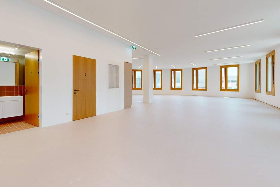 ROBIN Seestadt - Innovative Büroflächen in Wiens modernstem Stadtquartier, Gewerbeobjekt-miete, 2.204,00,€, 1220 Wien 22., Donaustadt