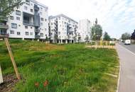 WOHNGEMEINSCHAFT mit 3 Zimmer