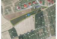 Naturparadies mit Schwimmteich – Mobilheim auf 8.386 m² Grundstück mit zusätzlichem Baupotenzial in sonniger Ruhelage