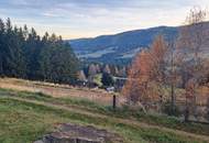 Hebalm Grundstück in der letzten Reihe mit traumhaftem Weitblick (Provisionsfrei)