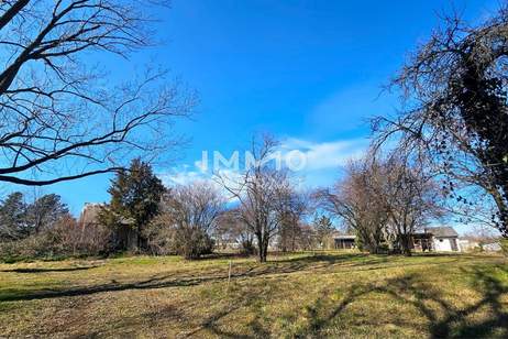 Bauträger oder Privatperson: Traumhaftes Grundstück mit Altbaumbestand in ruhiger Lage - teilbar, Grund und Boden-kauf, 2.247.400,€, 2425 Neusiedl am See