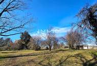 Bauträger oder Privatperson: Traumhaftes Grundstück mit Altbaumbestand in ruhiger Lage - teilbar