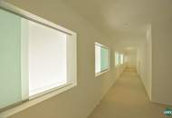 Repräsentatives Büro in der Wiener Innenstadt