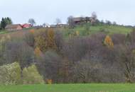 IN SLOWENIEN!! Authentisches Kellerstöckl mit Weinberg in Slowenien!