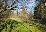 Grundstück mit Panoramablick an der Wiener Stadtgrenze - teilbar mit Bauträger-Eignung!