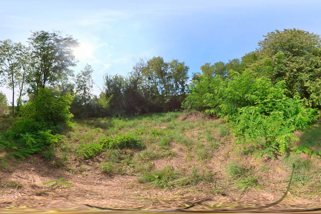 5.000 m² großes Baugrundstück mit Brunnen im SÜDBURGENLAND