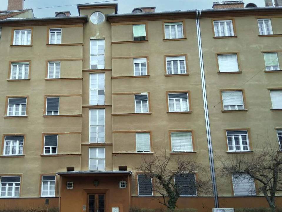 1 Zimmer Wohnung SINGLETHIT!