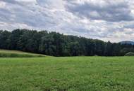 Großes Grundstück in wunderschöner Lage 10 Minuten von Hartberg