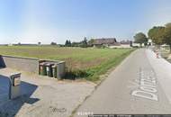 SONNIG GELEGENE GRUNDSTÜCKE IN RUHELAGE - OBERWEIDEN