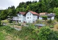 Großzügiges Wohnhaus mit Pool, Einliegerwohnung &amp; Terrasse in Ruhelage - laufend modernisiert