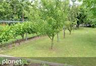 Ist es auch Ihr Traum, eigenes Obst und Gemüse zu ernten?