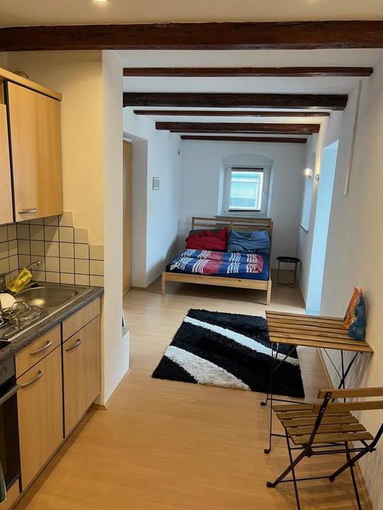 Garconniere mit Terrasse und Gartenbenutzung im Zentrum von Altheim