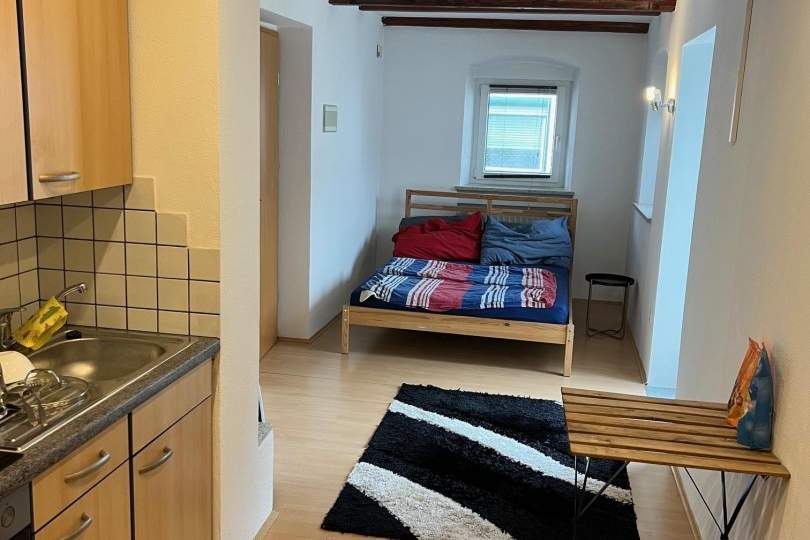 Garconniere mit Terrasse und Gartenbenutzung im Zentrum von Altheim, Wohnung-miete, 350,00,€, 4950 Braunau am Inn