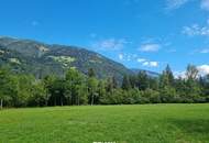 Schöne Grünlandfläche in der Gemeinde Kleblach/Lind