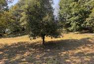 PREISREDUKTION! Attraktiver Baugrund inkl. Bewilligung für Wohnbauprojekt mit 4 Doppelhaushälften