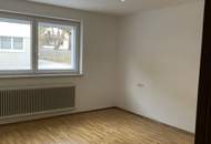 neuwertige 3 Zi-Wohnung +kleiner Gartenanteil