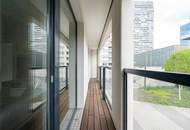 " DC-Living-Living the Dream "