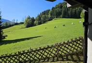 Haus in einzigartiger Alleinlage mit toller Aussicht!