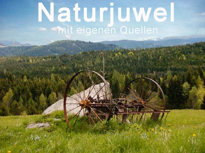 Naturjuwel mit privater Trinkwasserquelle