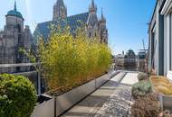 Einzigartiger Blick zum Stephansdom! Großzügige 3-Zimmer Terrassen-Penthousewohnung